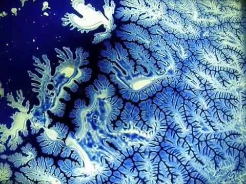 480x360 Dendritic Ridge Anatomical Structure In Motion,lichtenberg Brain - Dendritic Painting