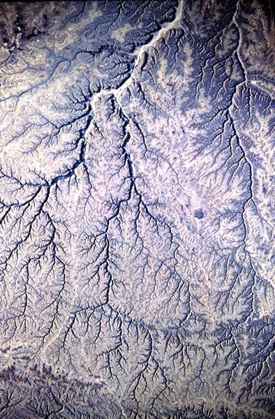 394x600 Related Image Dendritic Painting Paintings - Dendritic Painting