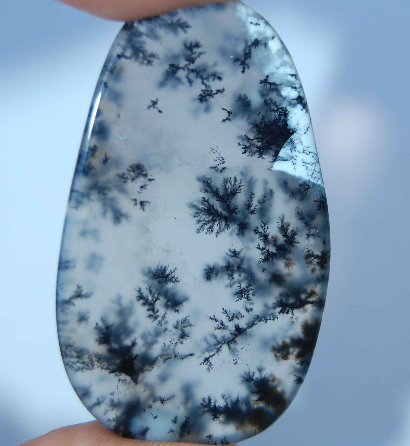 1704x1851 Dendrite Agate Geocollect - Dendritic Painting