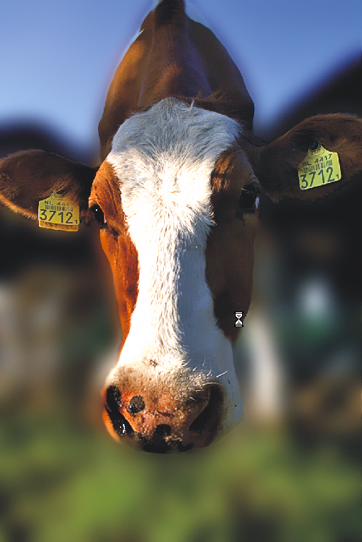 510x764 Faking Depth Of Field Effects In Corel Photo Paint Coreldraw - Depth Of Field Painting