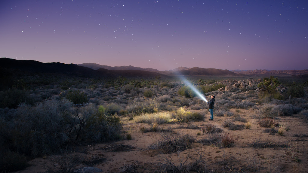 1024x576 Painting The Sky Looking Up - Desert Night Painting