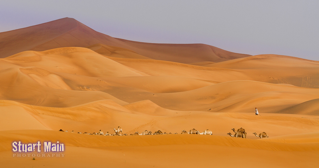 Desert Painting Images
