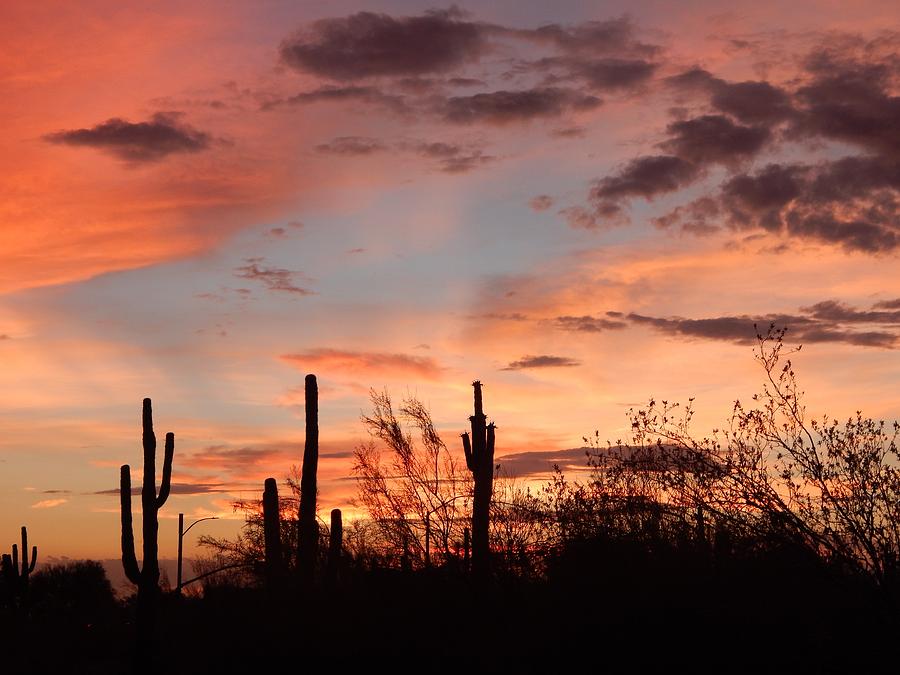 900x675 Desert Scene Painting By Photo Shirts - Desert Scene Painting