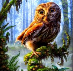 236x229 32 Best Diamond Painting Images On Diamond Paint - Diamond Painting Seattle