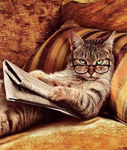 425x500 5d Diy Diamond Painting Kit Rhinestone Embroidery - Diamond Painting Seattle