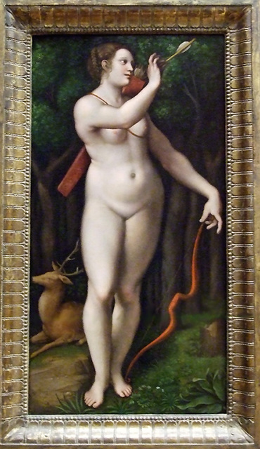 370x640 Ipernity Diana The Huntress By Giampietrino In The Metropolitan - Diana The Huntress Painting