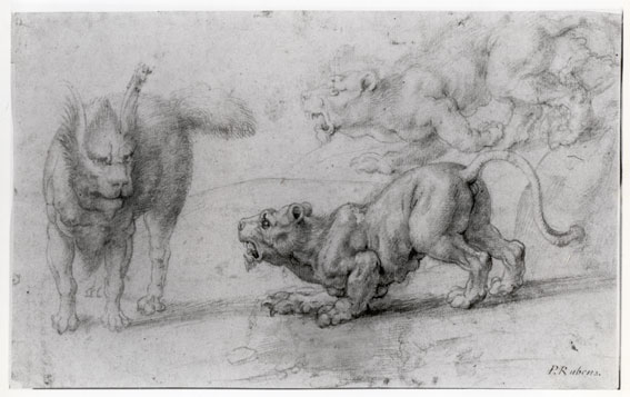 567x357 Paint Vs Draw Difference In Meaning - Difference Between Drawing And Painting