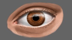 240x135 Paint An Eye An Intro To Digital Painting Udemy - Digital Eye Painting