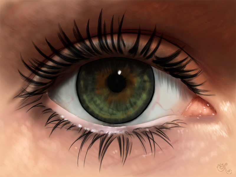 800x600 Digital Eye Painting On Behance - Digital Eye Painting