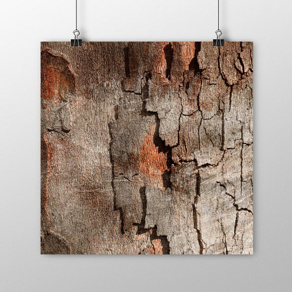 570x570 Tree Bark Digital Paper Wood Texture Wood Backgrounds Tree - Digital Painting Tree Bark