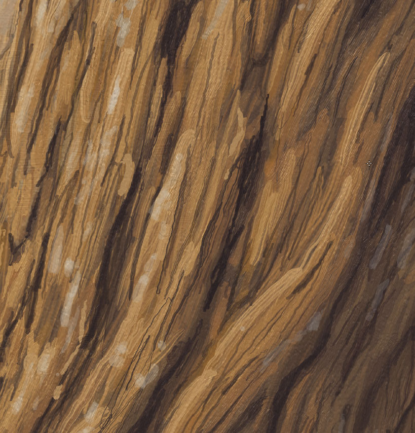 819x854 Crista Forest's Animals Amp Art 10115 - Digital Painting Tree Bark