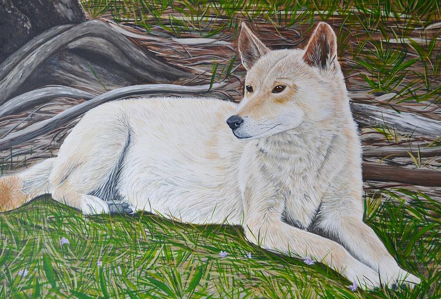 900x609 Dingo Painting By Mady Lewis - Dingo Painting
