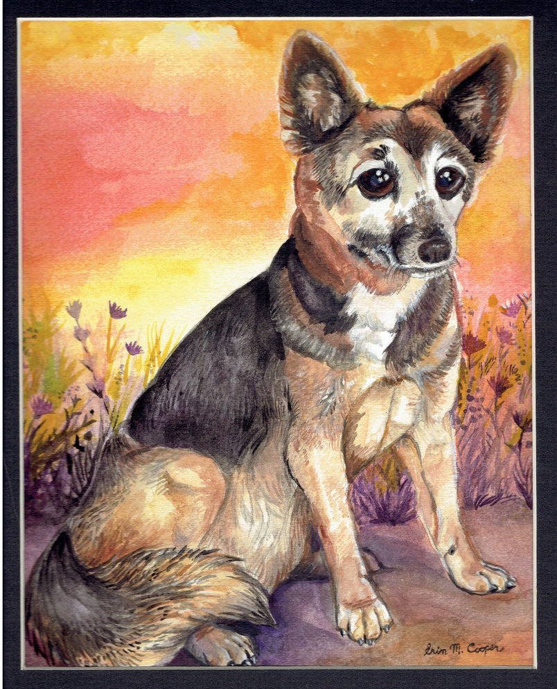 804x993 Dingo By Shadowind - Dingo Painting