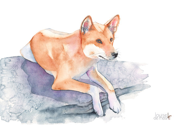 570x404 Dingo Watercolour Painting Dingo Original Watercolour - Dingo Painting