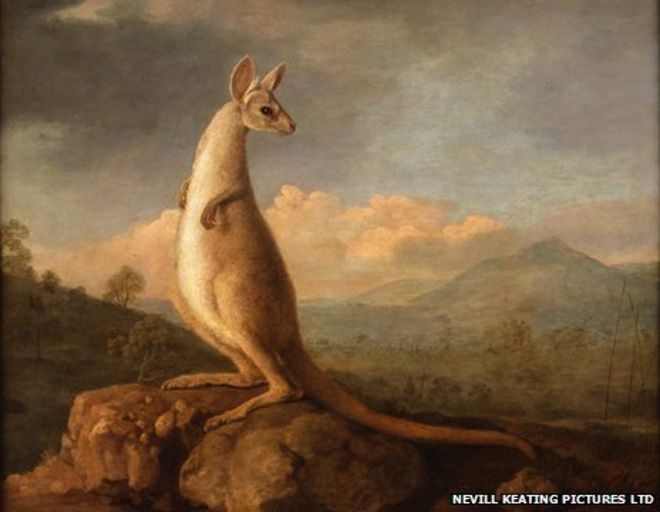 660x512 George Stubbs' Kangaroo And Dingo Paintings To Stay In Uk - Dingo Painting
