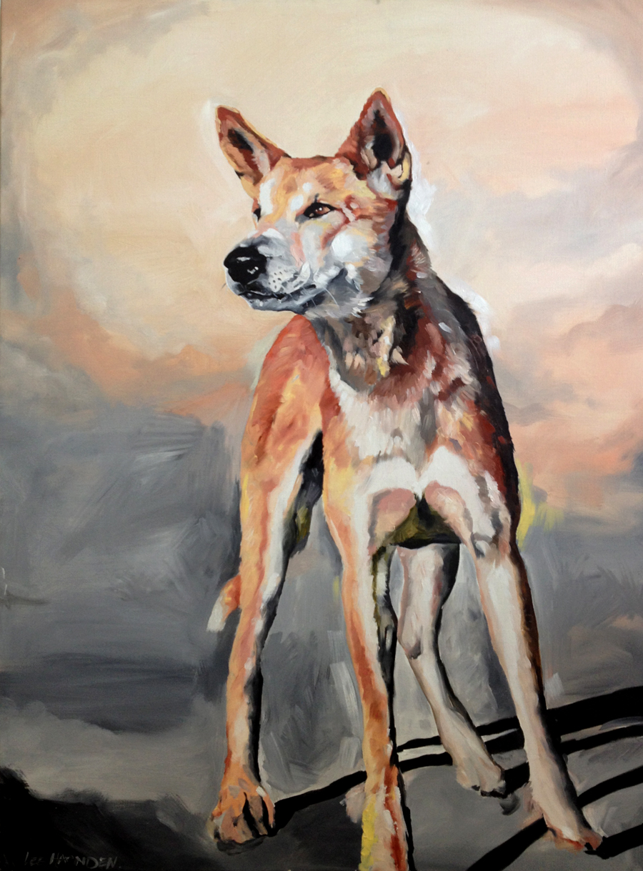 900x1219 Lee Harnden - Dingo Painting