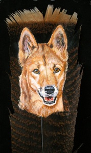 178x300 Wa Dingo Association - Dingo Painting