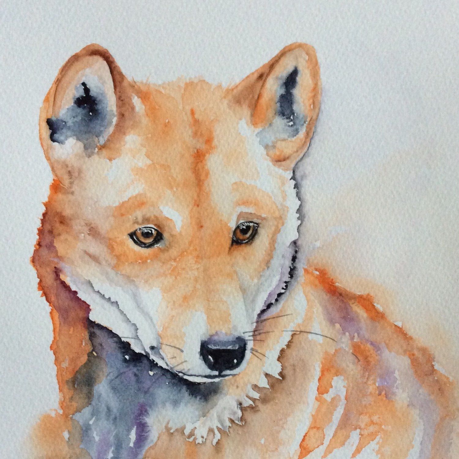 1500x1500 Australian Dingo Watercolour Painting By Watercoloursgalore - Dingo Painting