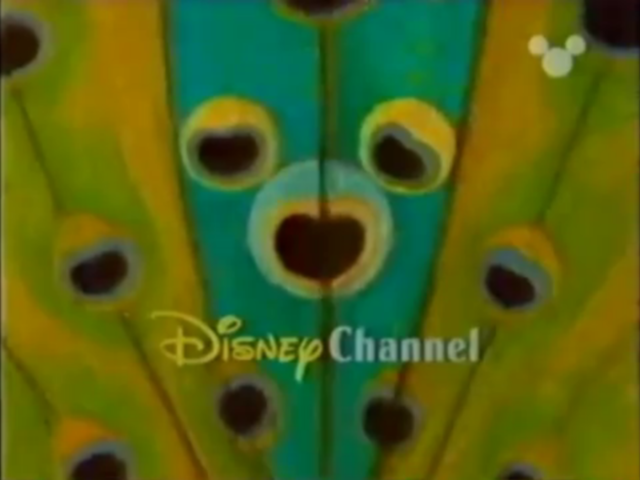 640x480 Image - Disney Channel Painting