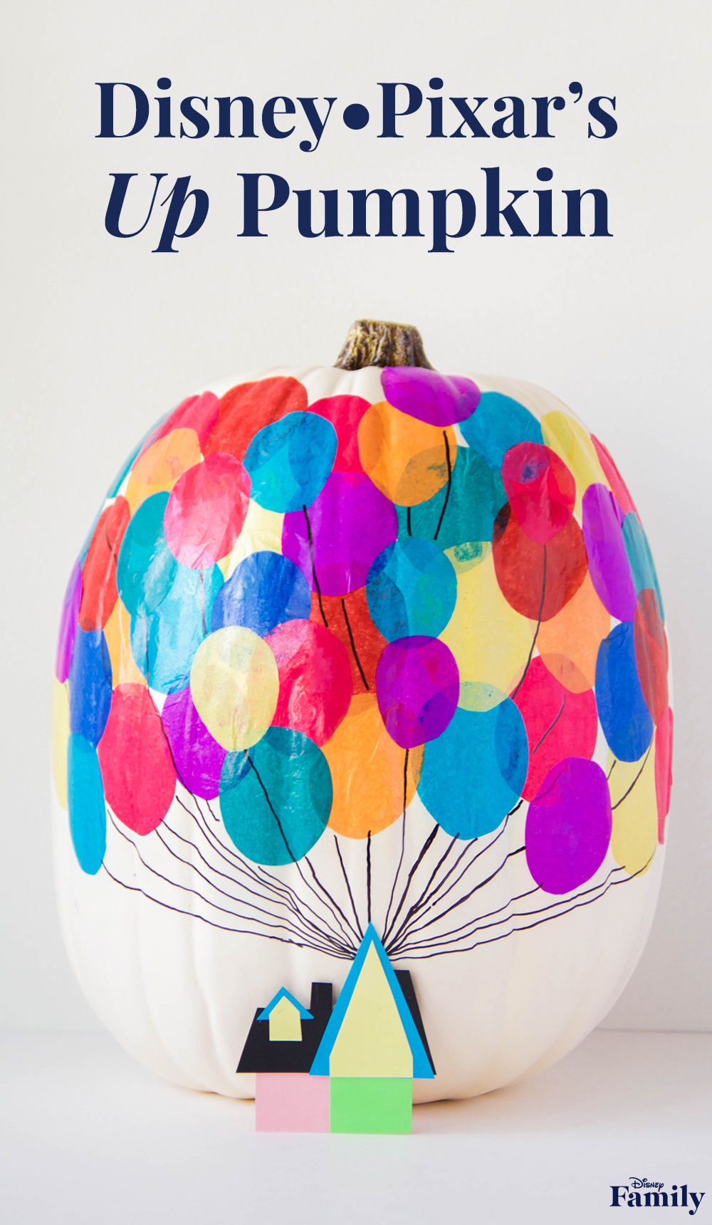 1000x1720 Diy Pumpkin Inspired By Up Disney Family - Disney Pixar Up Painting
