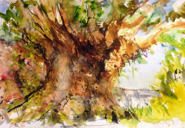 640x442 Daniel Clarke Artwork Tree Of Life Disneyworld Original - Disney World Painting