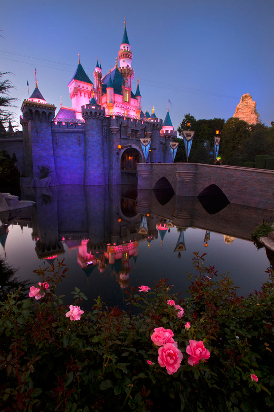 900x1350 Painting With Light - Disneyland Painting