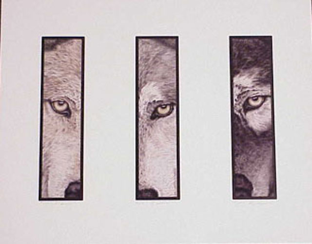 640x500 The Predators Vertical - Dk Painting