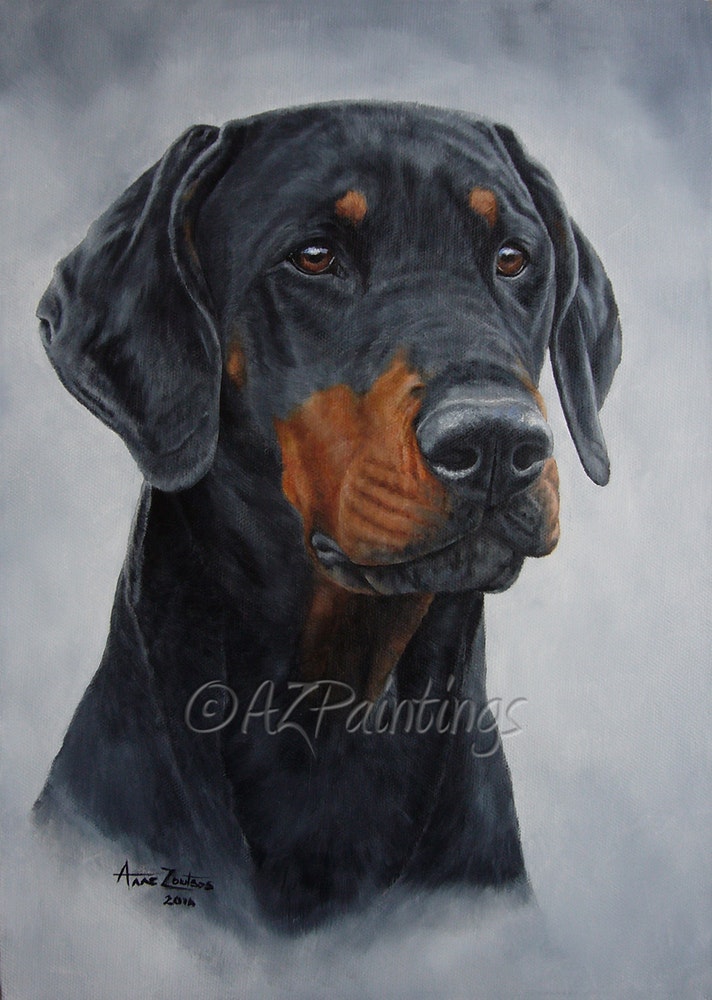 712x1000 Doberman Head Study In Oils By Artist Anne Zoutsos, - Doberman Painting