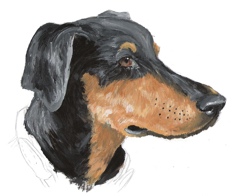 794x630 Doberman Painting By Vanished Shadow - Doberman Painting