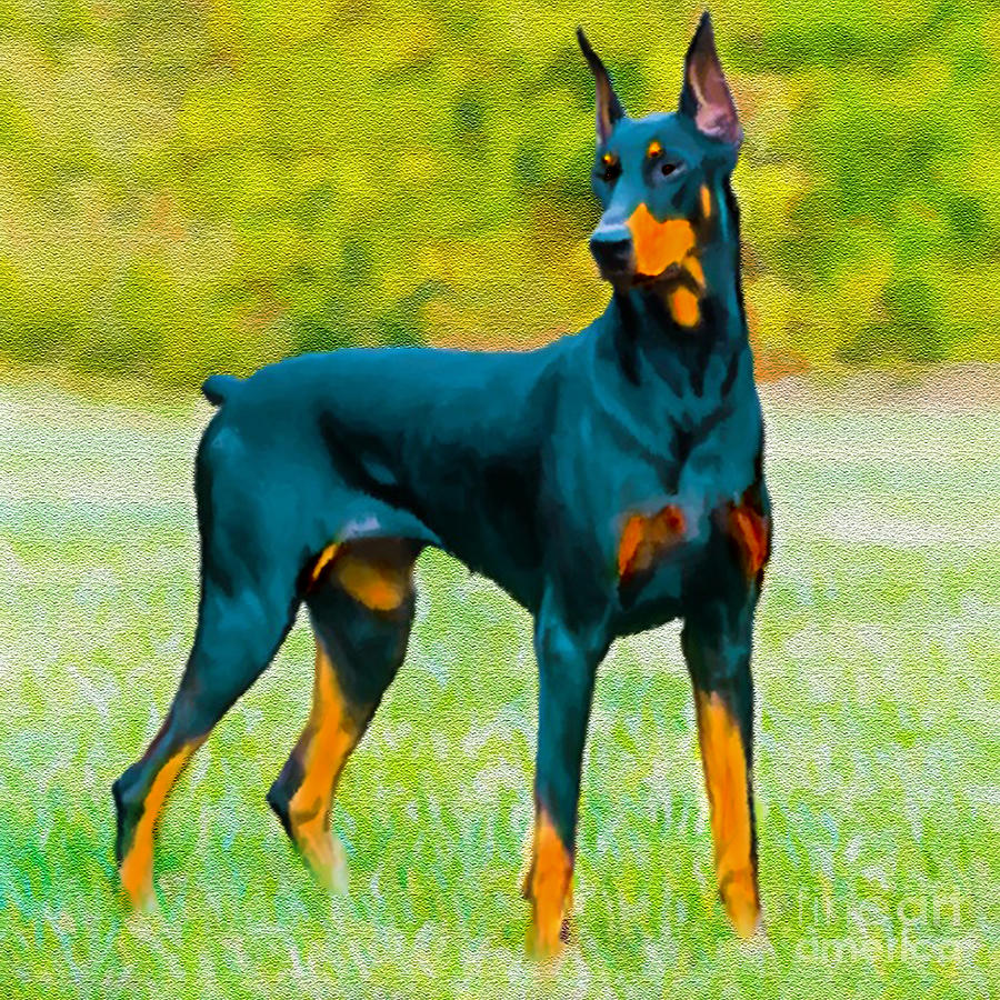 900x900 Painting Doberman Pincher Painting By Bob And Nadine Johnston - Doberman Painting