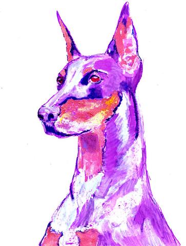363x480 Pink Doberman Dog Painting, Funky Vibrant Print Of Original Art - Doberman Painting