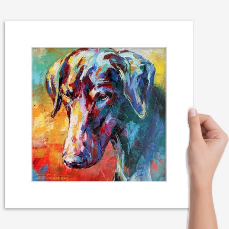 800x800 Doberman - Doberman Painting