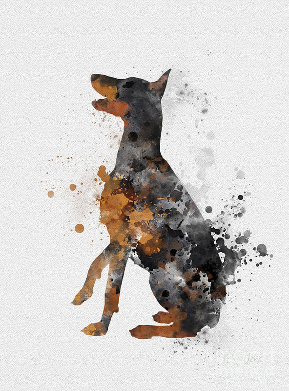 592x800 Doberman Pinscher Art Print By Rebecca Jenkins - Doberman Pinscher Painting