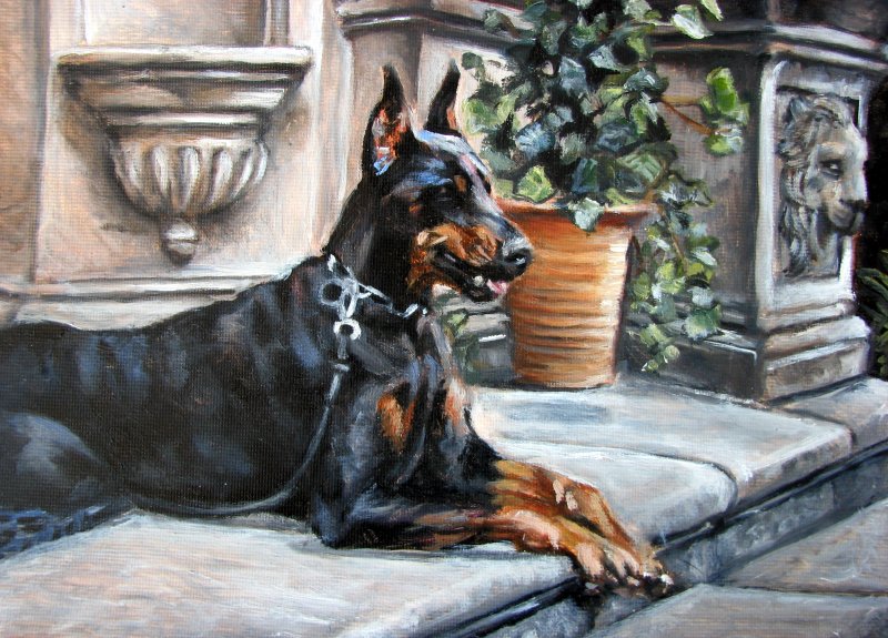 800x575 Doberman Pinscher By Katie Z - Doberman Pinscher Painting