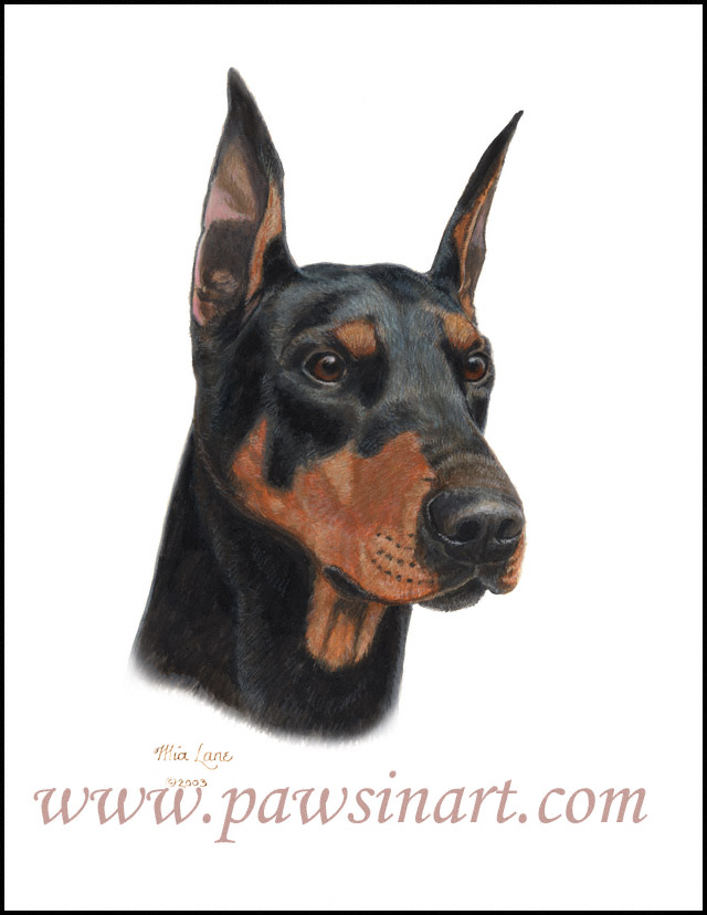 640x828 Paws In Art Best Of Breed - Doberman Pinscher Painting