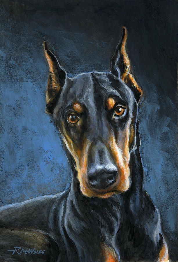 Doberman Pinscher Painting At Explore Collection