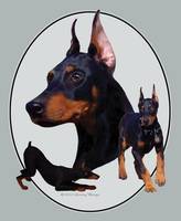 164x200 Stunning Doberman Pinscher Artwork For Sale On Fine Art Prints - Doberman Pinscher Painting