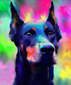 251x300 Doberman Pincher Dog Portrait Pet Original Signed Colourful - Doberman Pinscher Painting