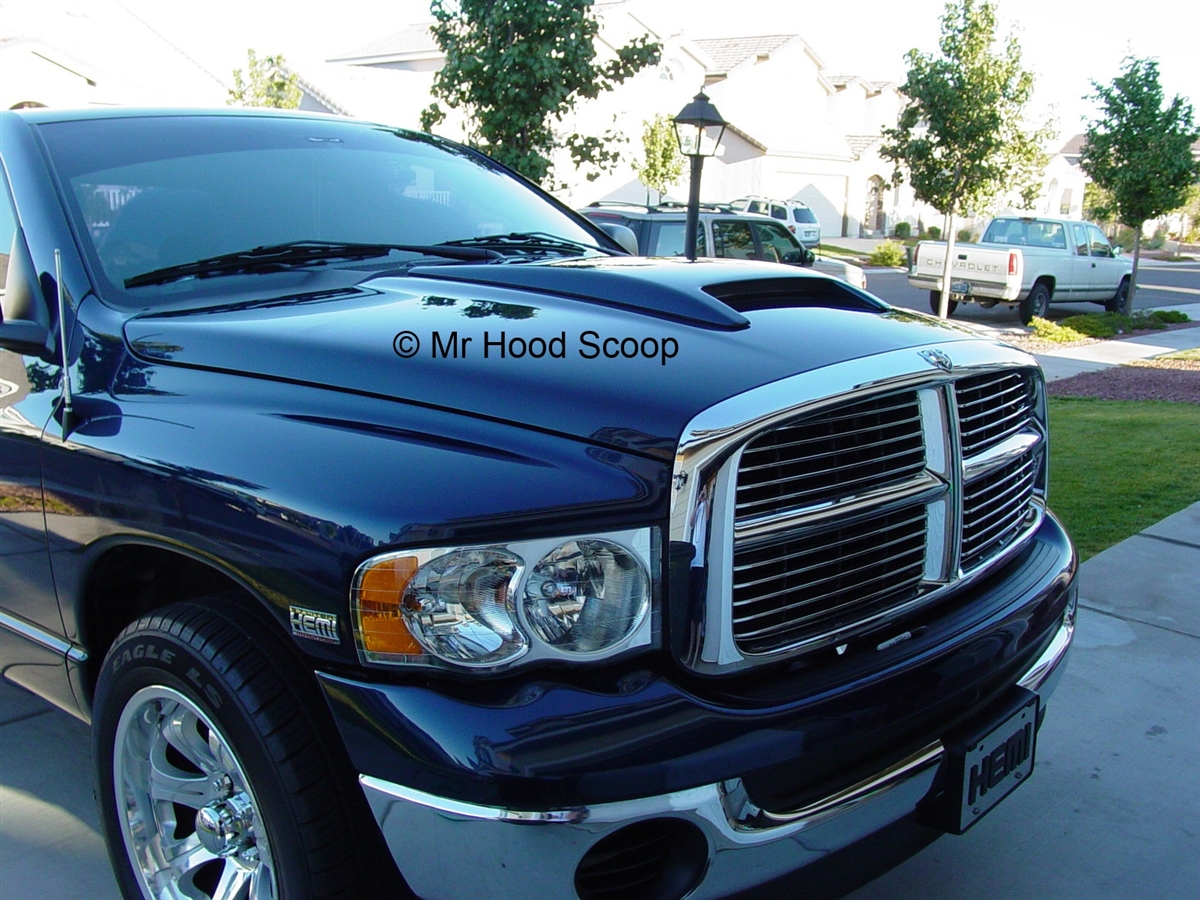 1200x900 2002, 2003, 2004, 2005, 2006, 2007, 2008 Dodge Ram Rumble Bee Hood - Dodge Painting