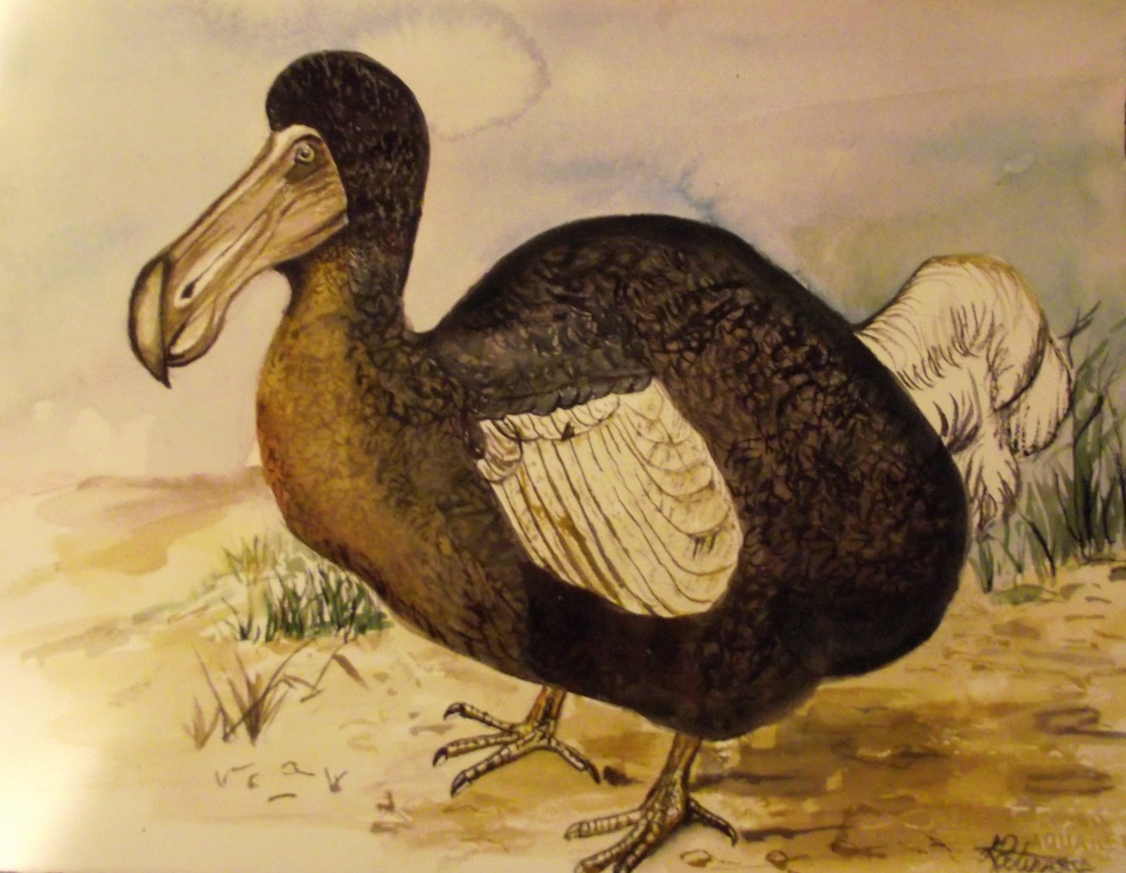 1600x1241 Leslie's Art Blog Dodo Bird - Dodo Bird Painting