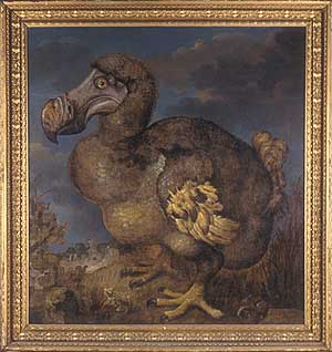 300x318 The Learning Zone Extinct Amp Endangered - Dodo Bird Painting