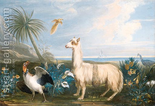 512x349 A Lama, A Dodo And Other Exotic Birds In A Tropical Landscape - Dodo Painting