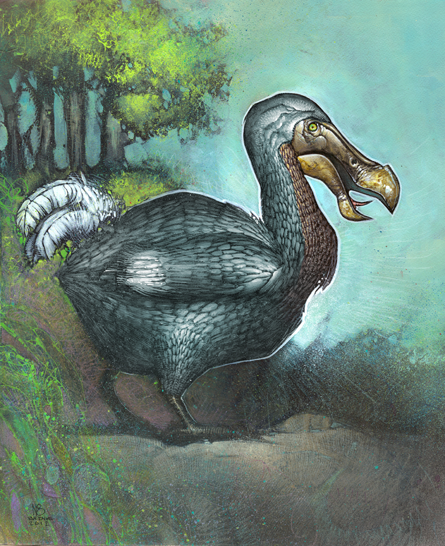 880x1080 It's A Dodo! N8vandyke - Dodo Painting