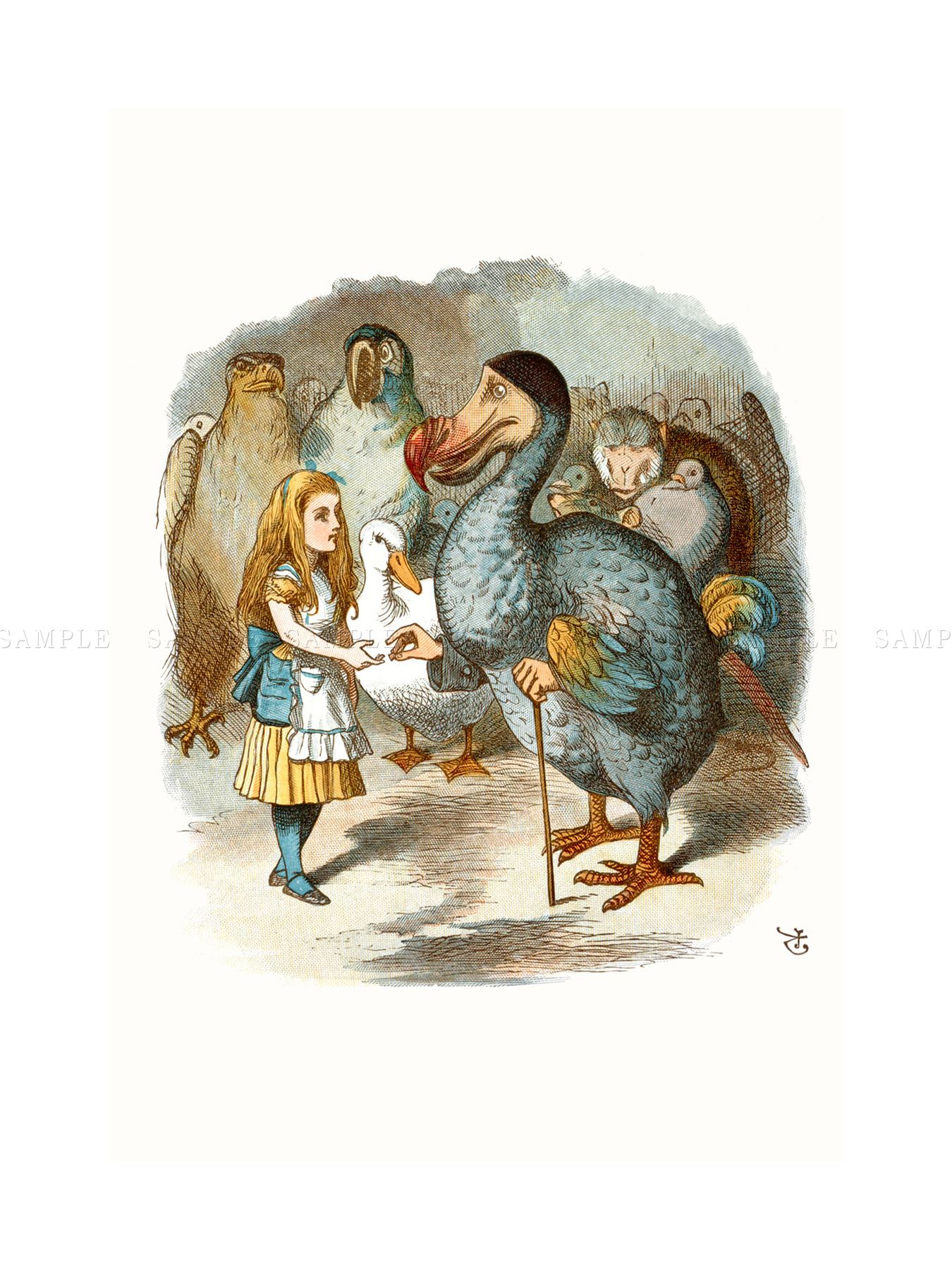 1350x1800 Painting Book Carrol Alice Wonderland Tenniel Dodo Framed Art - Dodo Painting