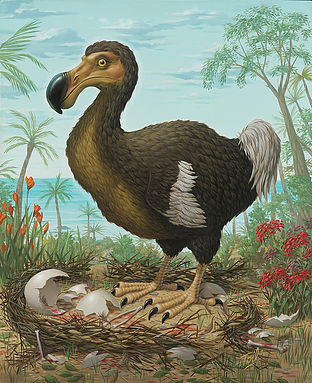 312x383 The Art Of Brian Clarke Aka Les Toil Jingle Jangle! - Dodo Painting