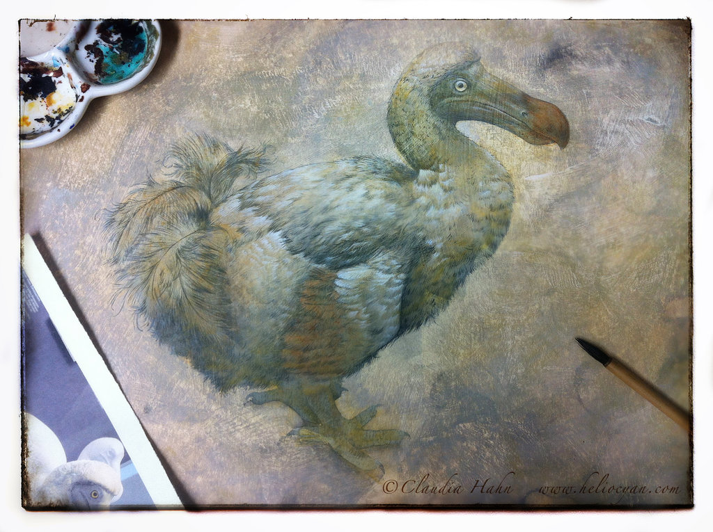 1024x765 The Lonely Dodo By Heliocyan - Dodo Painting