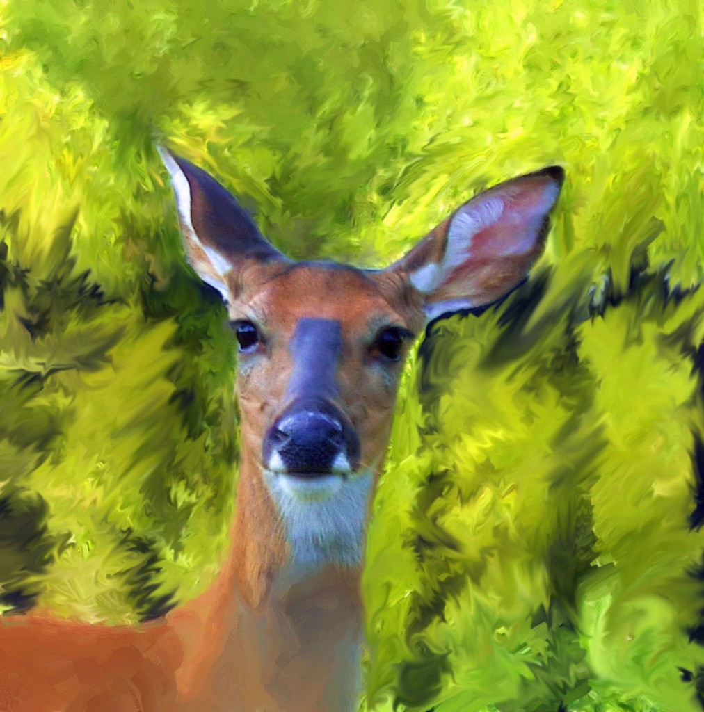 1012x1024 Doe A Deer Painting - Doe Painting