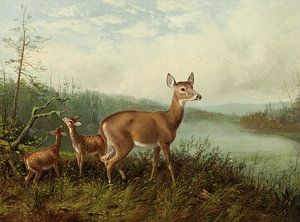 300x222 Doe And Fawn Paintings Fine Art America - Doe Painting