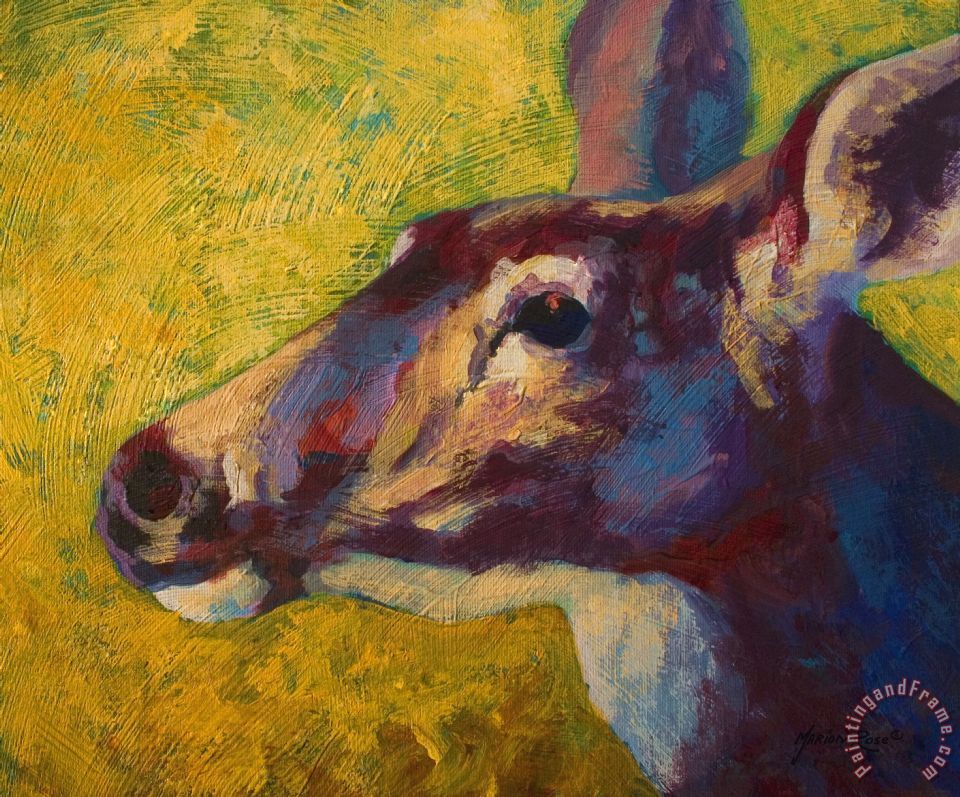 960x797 Marion Rose Portrait Of A Doe Painting - Doe Painting