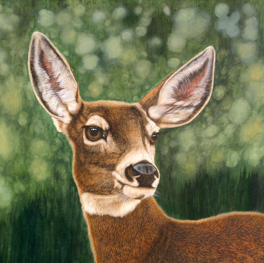 900x898 Out Of The Woods Pretty Doe Painting By Jacquie Vaux - Doe Painting